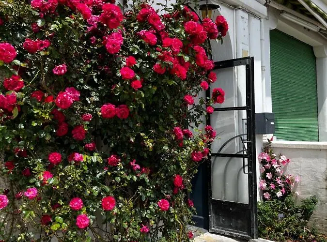 Διαμέρισμα T2 Bis Cosy Proche Gare Λούρδη